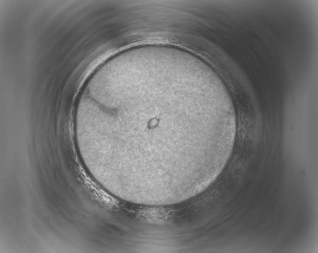 X0000085800950200703301454