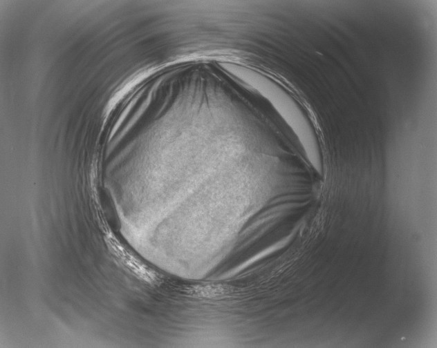 X0000085800952200703301455