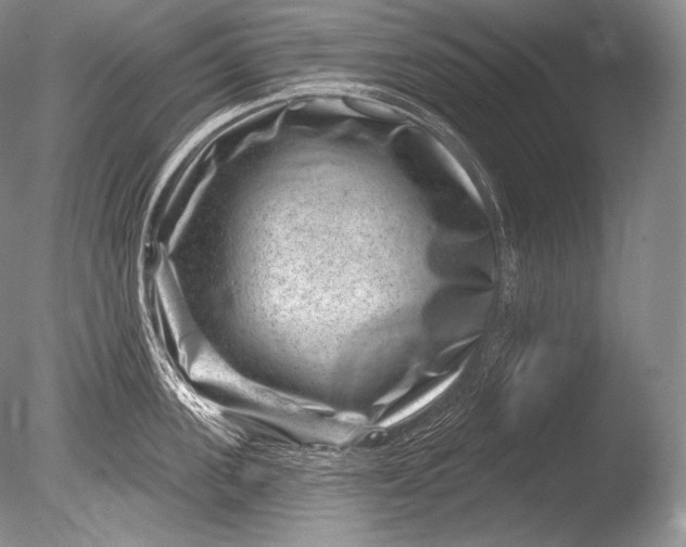 X0000085800955200703301455