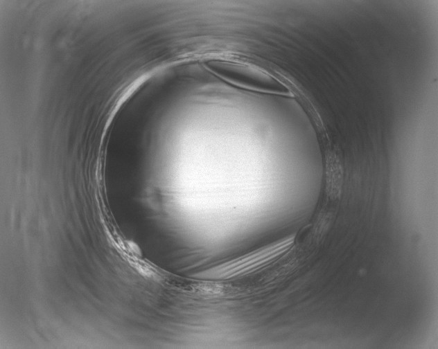 X0000085800956200703301455