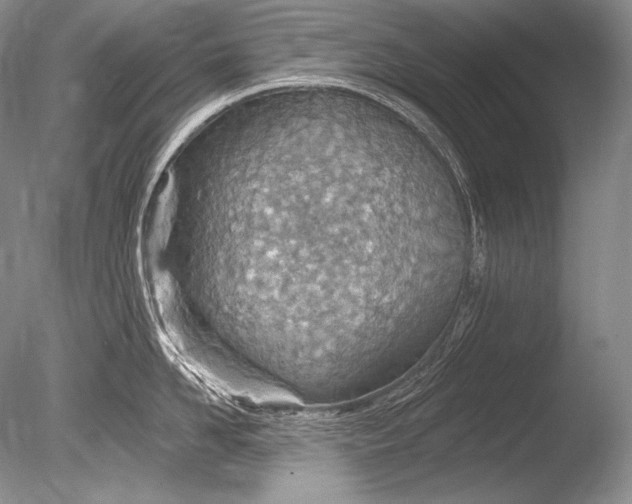 X0000085800958200703301455