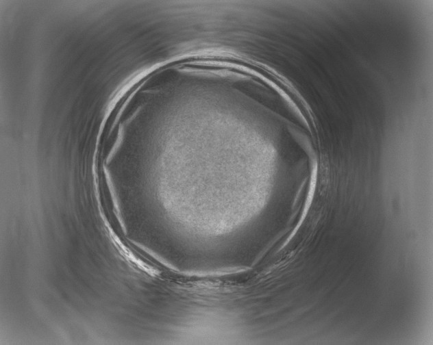 X0000085800959200703301455