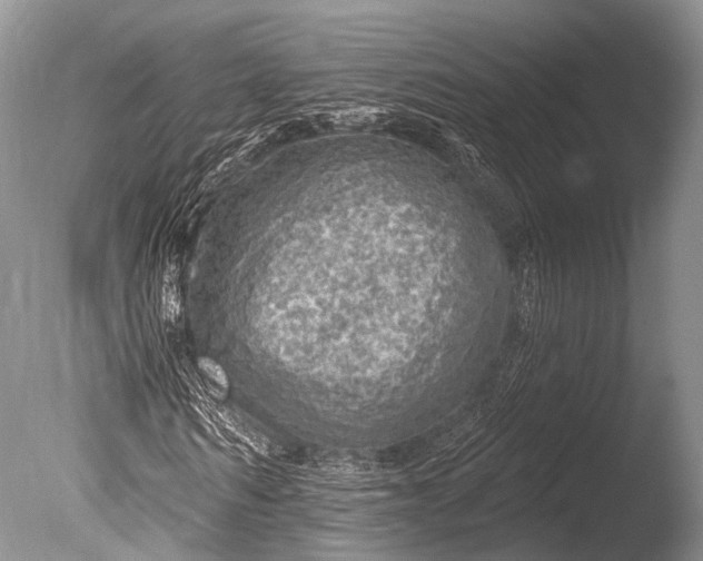 X0000085800962200703301454