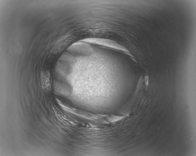 X0000085800963200703301454