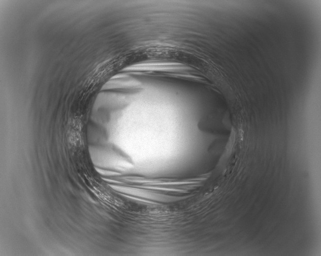 X0000085800964200703301454