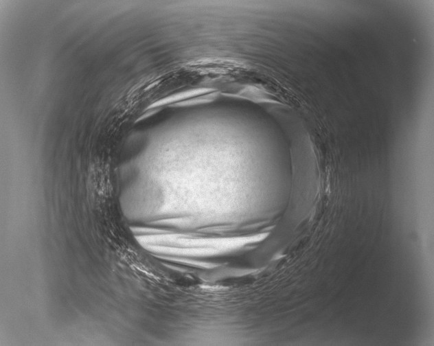 X0000085800965200703301454