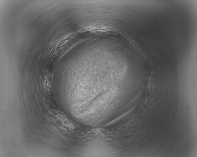 X0000085800966200703301454