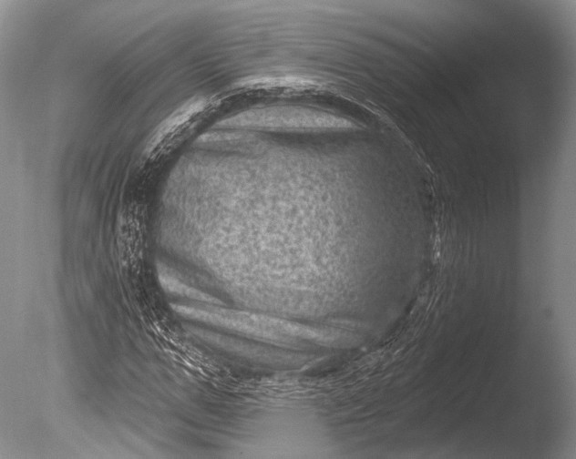 X0000085800967200703301454