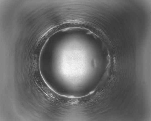 X0000085800968200703301454