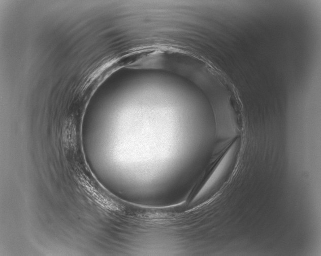 X0000085800969200703301454