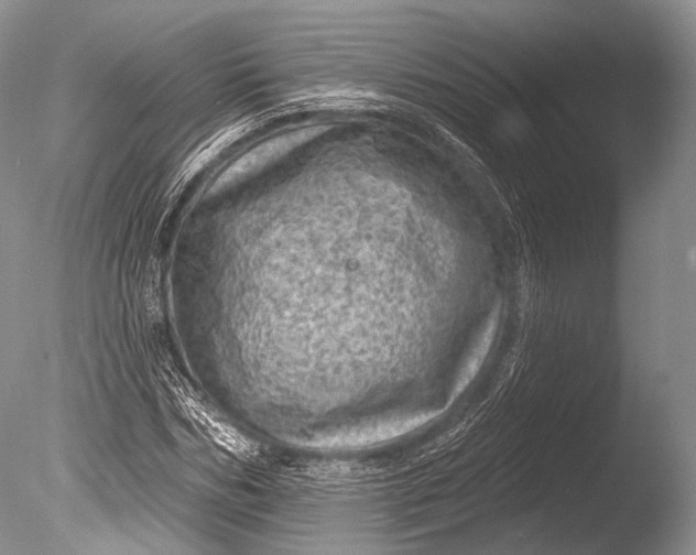 X0000085800970200703301454