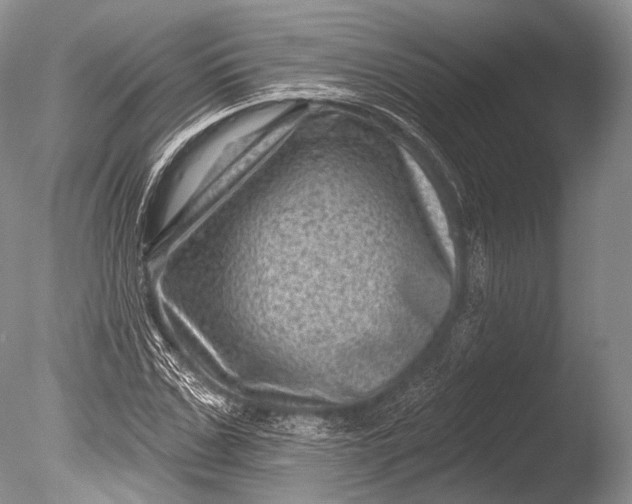 X0000085800971200703301454