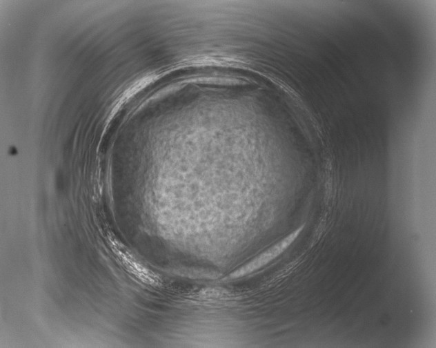 X0000085800974200703301454