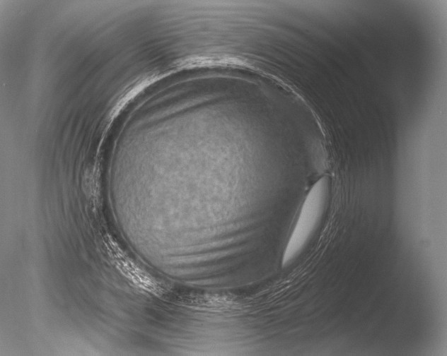 X0000085800975200703301454