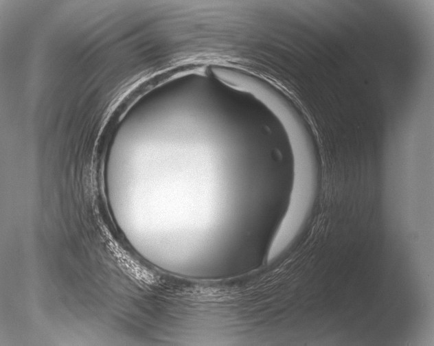 X0000085800976200703301454