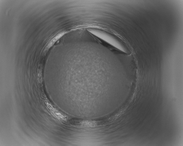 X0000085800977200703301454