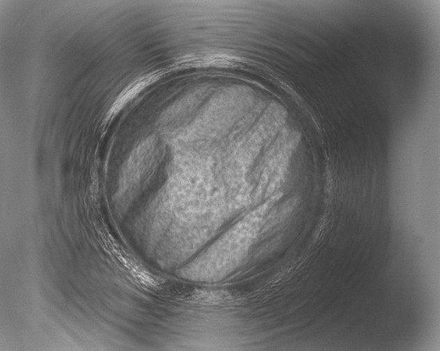 X0000085800978200703301454