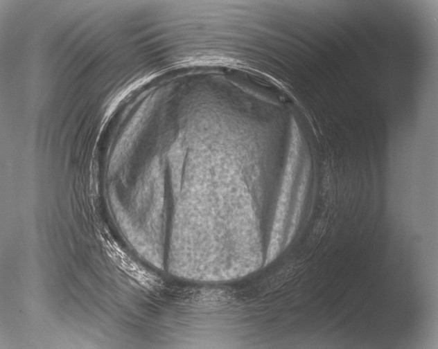 X0000085800979200703301454