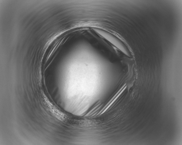 X0000085800980200703301454