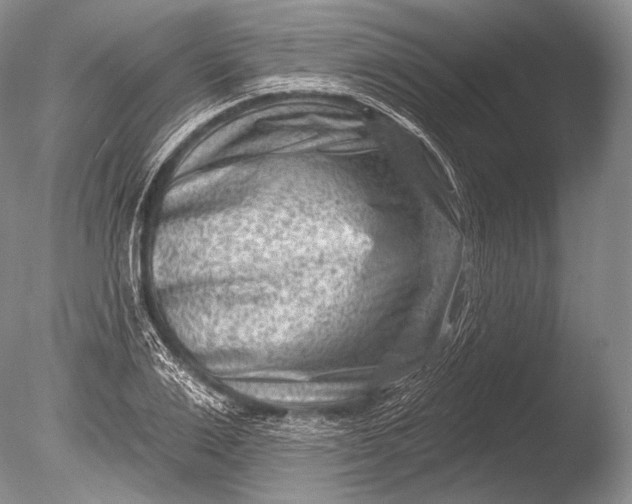 X0000085800983200703301453