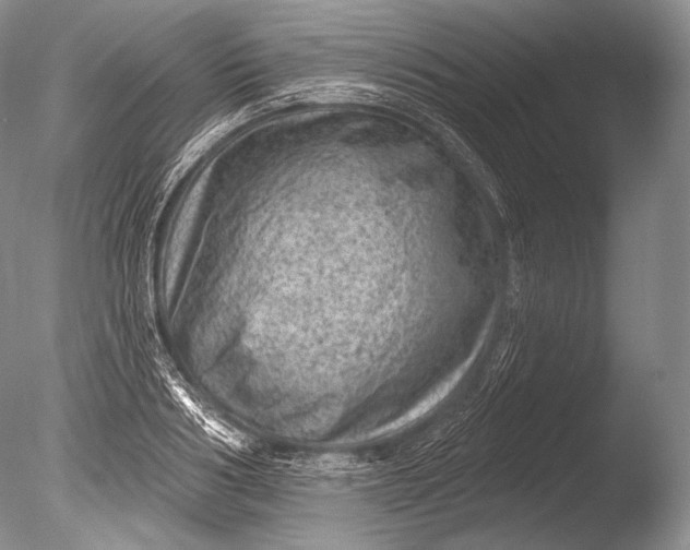 X0000085800986200703301453