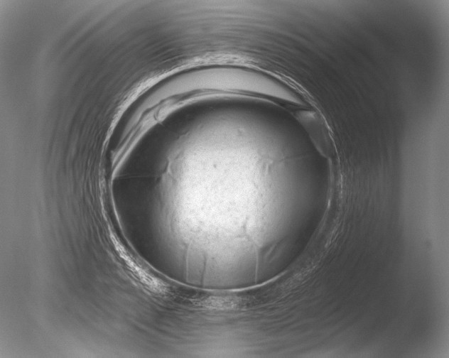 X0000085800989200703301453