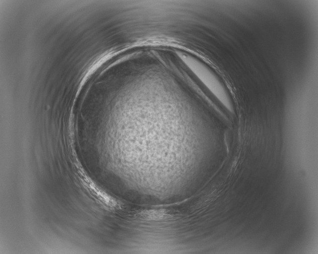 X0000085800990200703301453