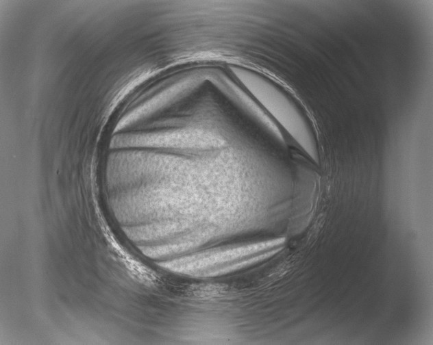 X0000085800991200703301453