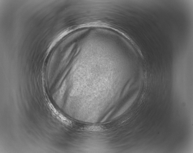 X0000085800998200703301453