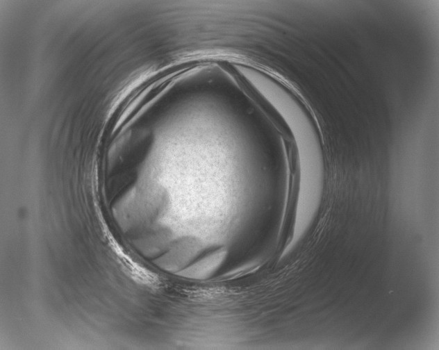 X0000085800999200703301453