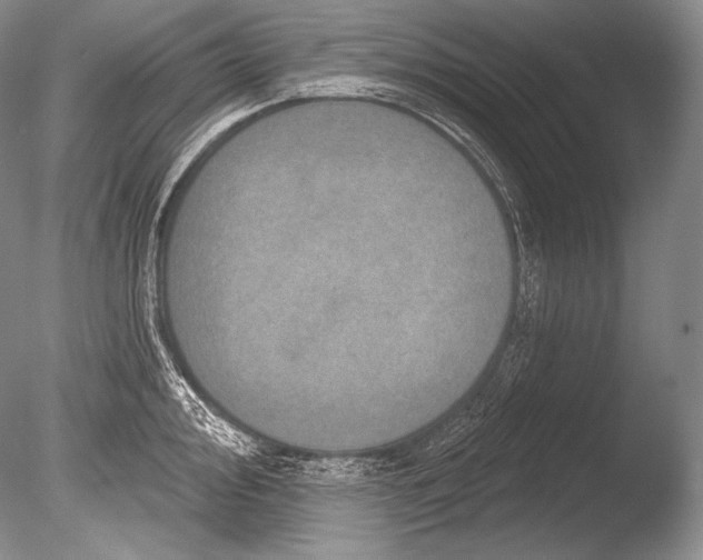 X0000085801000200703301453