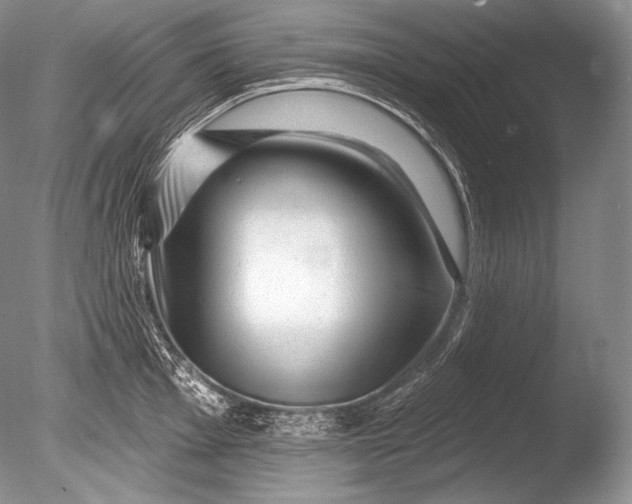 X0000085801001200703301453