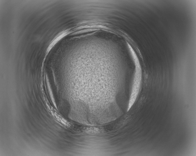 X0000085801002200703301453