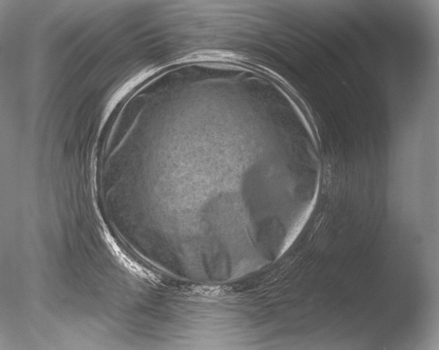 X0000085801003200703301453