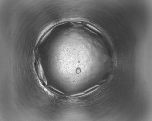 X0000085801006200703301453