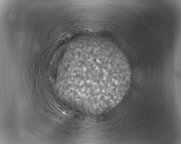 X0000085801009200703301452