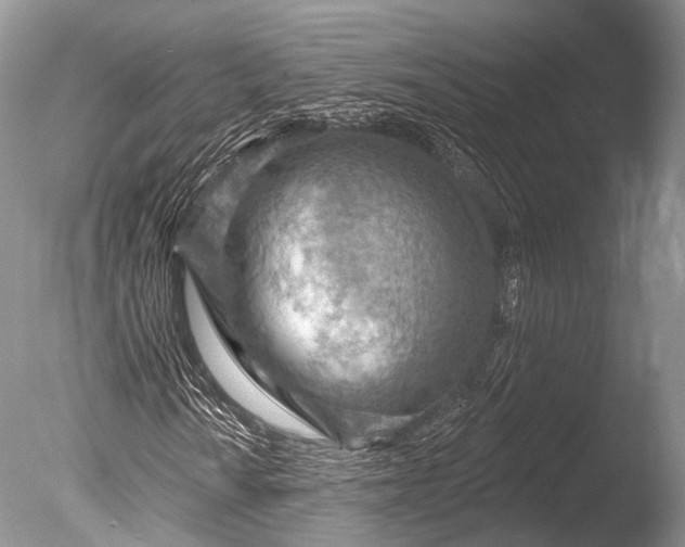 X0000085801010200703301452