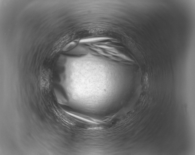 X0000085801012200703301452