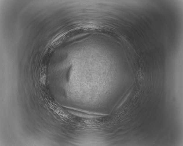 X0000085801015200703301452