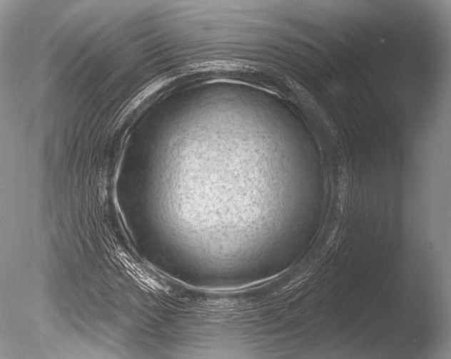 X0000085801017200703301452