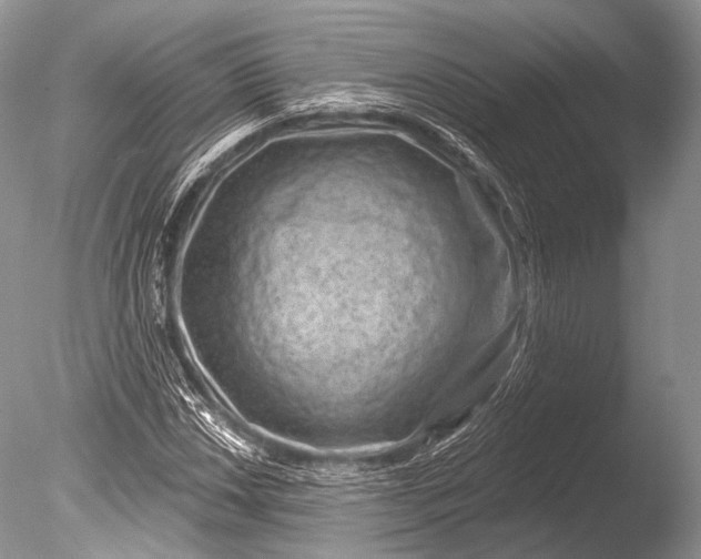 X0000085801018200703301452