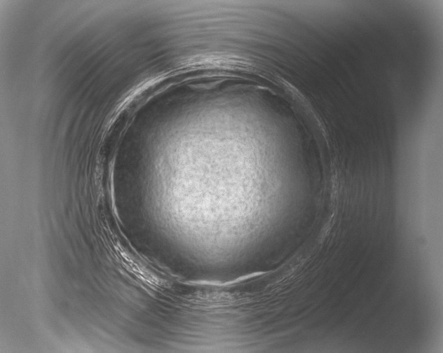 X0000085801019200703301452