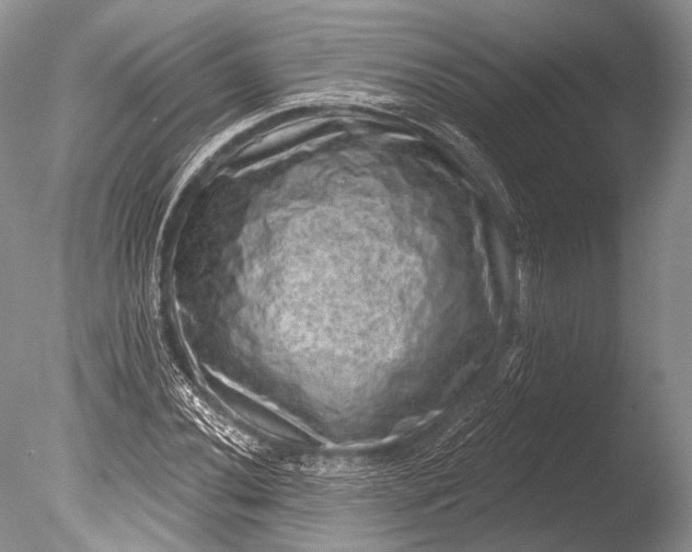 X0000085801020200703301452