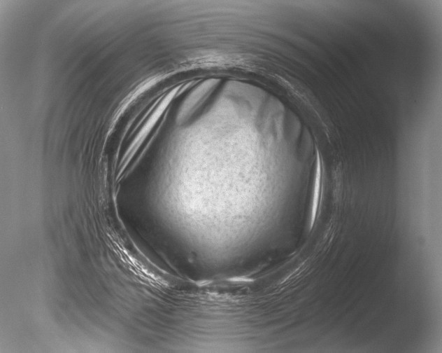 X0000085801021200703301452