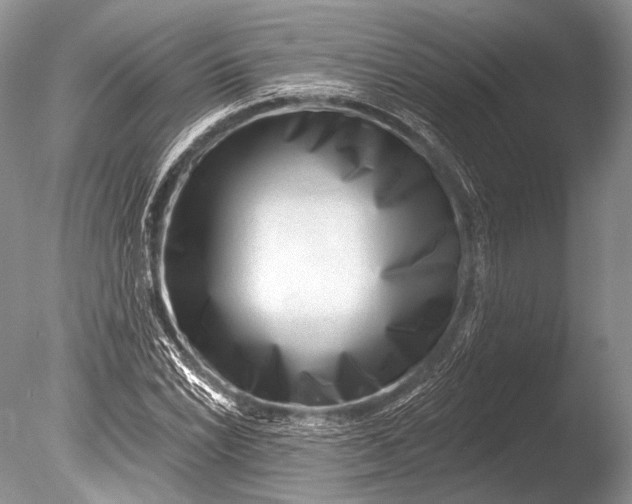 X0000085801022200703301452