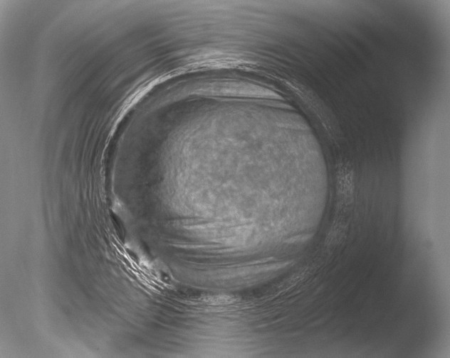 X0000085801023200703301452