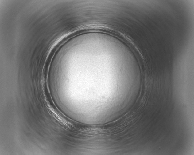 X0000085801024200703301452