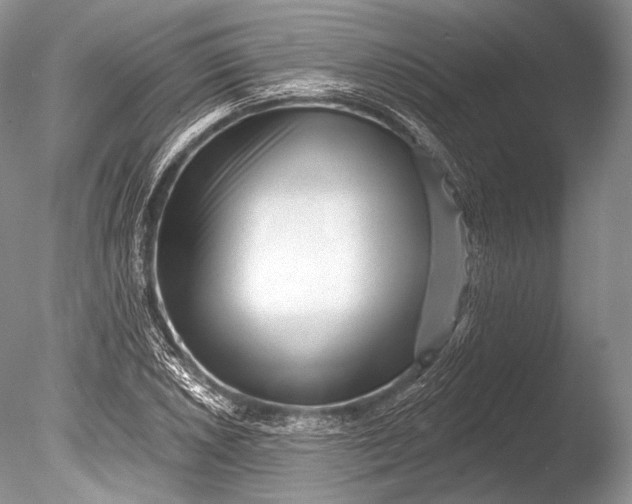 X0000085801026200703301452