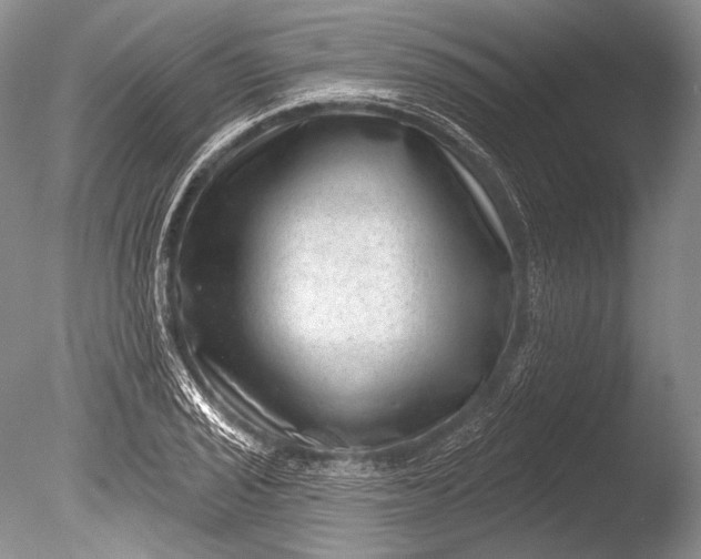 X0000085801029200703301453