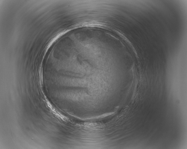 X0000085801032200703301453